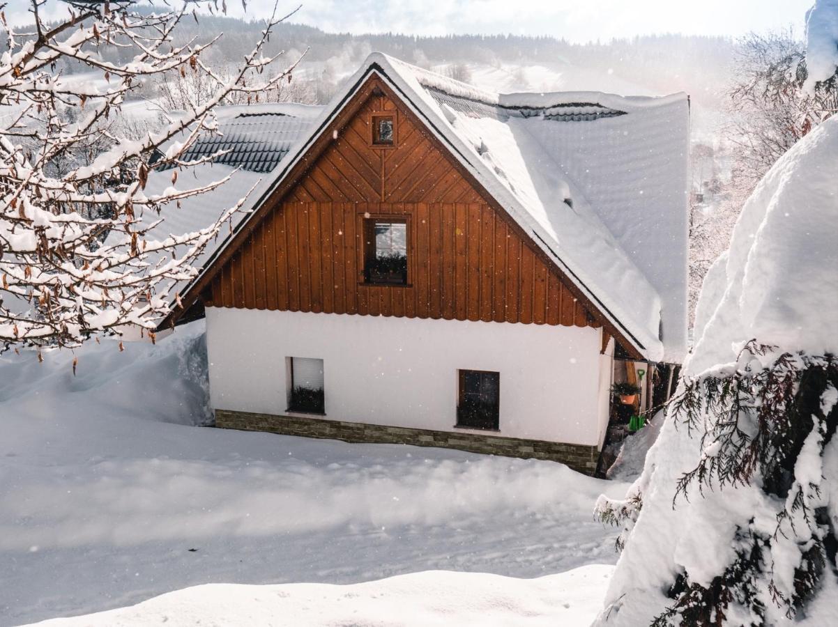 Apartman Karel A Martina Rokytnice nad Jizerou Buitenkant foto