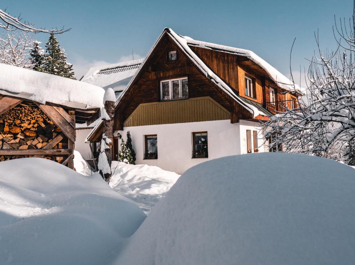 Apartman Karel A Martina Rokytnice nad Jizerou Buitenkant foto