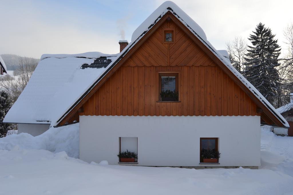 Apartman Karel A Martina Rokytnice nad Jizerou Buitenkant foto